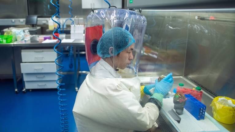 Expertos de la OMS se inclinan por el origen zoonótico del coronavirus y descartan laboratorio