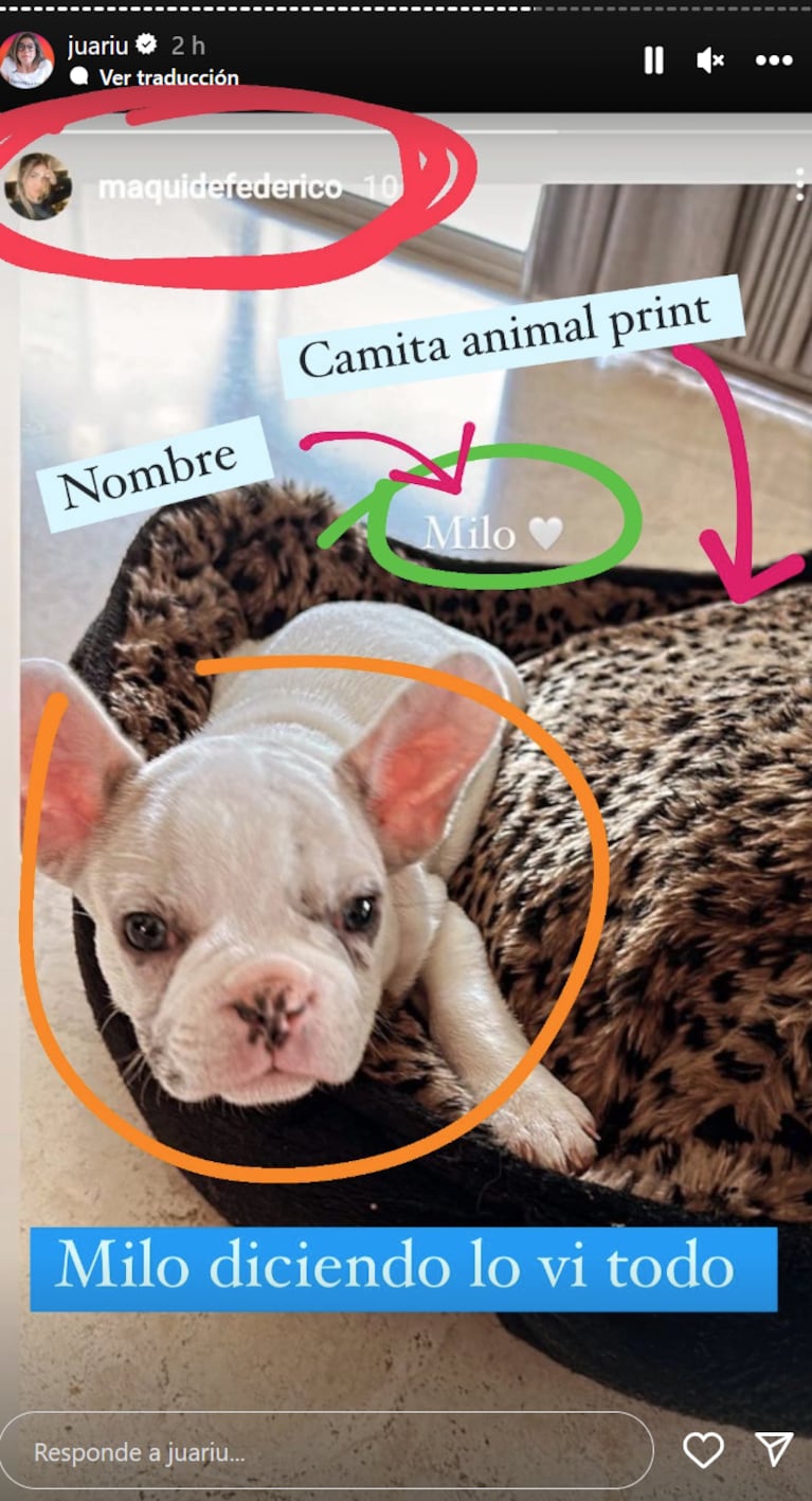 Explosivo rumor de romance: el Kun Agüero muy cerca de la hermana de Matías Defederico