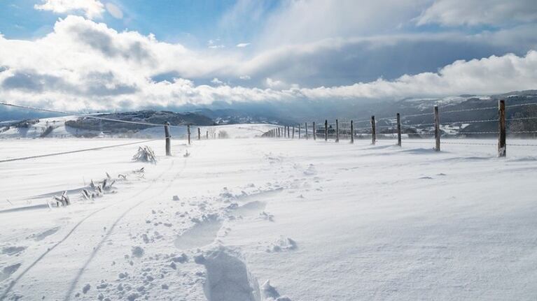 Extrañas figuras aparecieron en la nieve