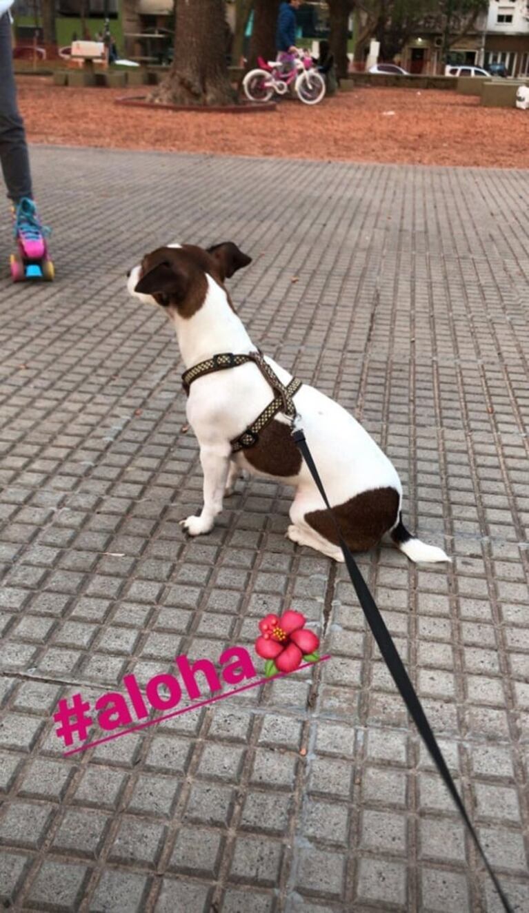 Fabián Cubero presentó a otra integrante de la familia: "De paseo con mi nueva hija, Aloha"