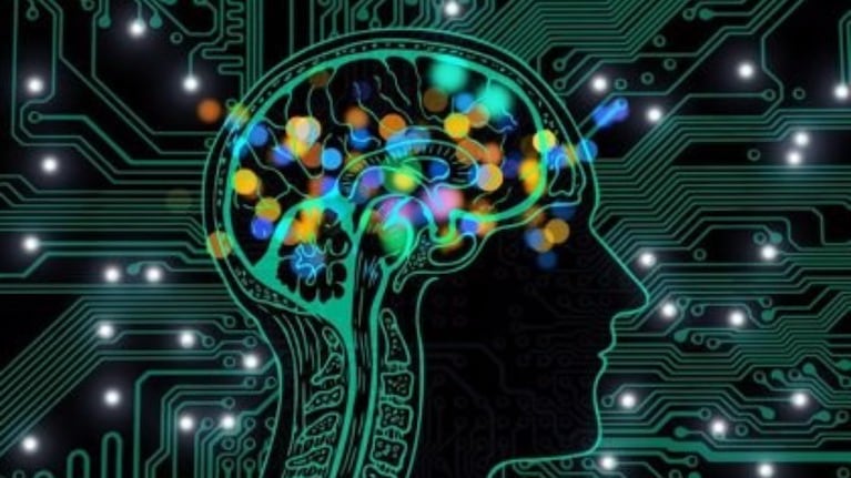 Facebook acerca la Inteligencia Artificial al cerebro humano y le enseña a olvidar. Foto:EP.
