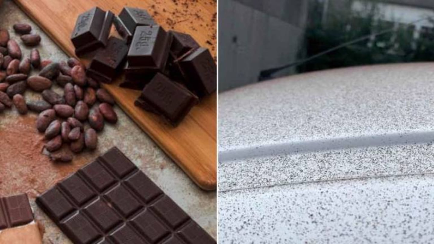 Falla en una fábrica de chocolate provoca “lluvia de cacao” en Suiza