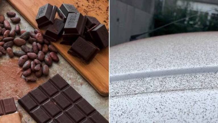 Falla en una fábrica de chocolate provoca “lluvia de cacao” en Suiza