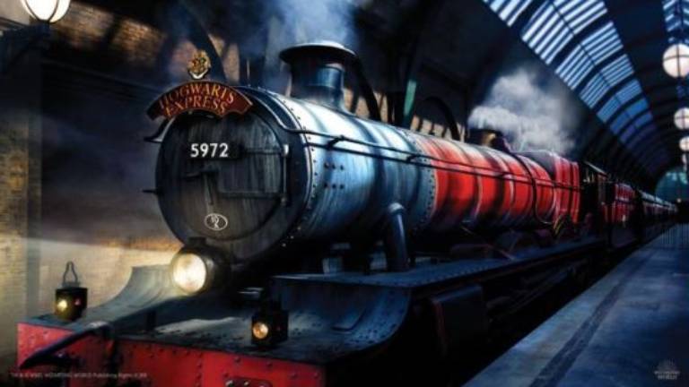 Fans de Harry Potter esperan horas para ver el Expreso de Hogwarts y otro tren les “tapa” su llegada