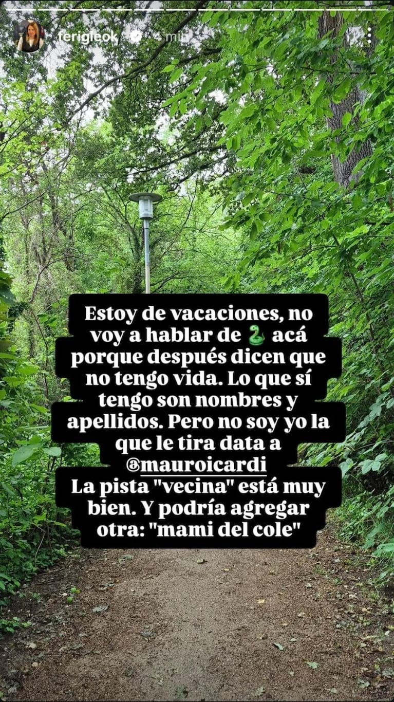 Fernanda Iglesias sumó una nueva pista sobre la identidad de la supuesta amante de Diego Latorre: "mami del cole". Crédito: Instagram @ferigleok