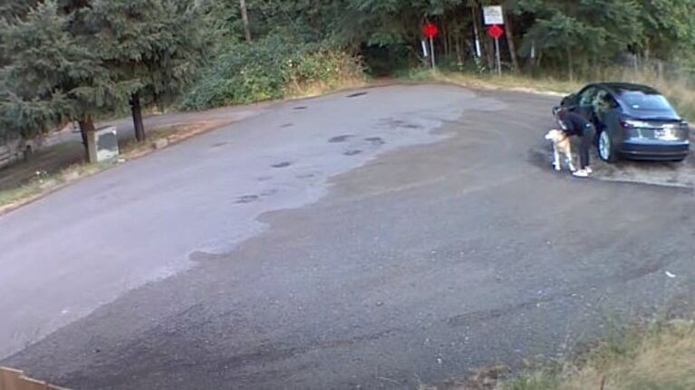 Filman a una mujer cuando abandona a su perro en un bosque de Vancouver