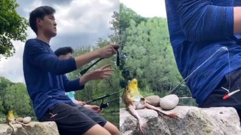 Filman a una rana fuera del agua que parece estar pescando con un grupo de amigos