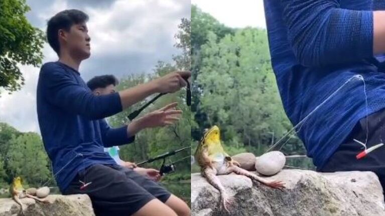 Filman a una rana fuera del agua que parece estar pescando con un grupo de amigos
