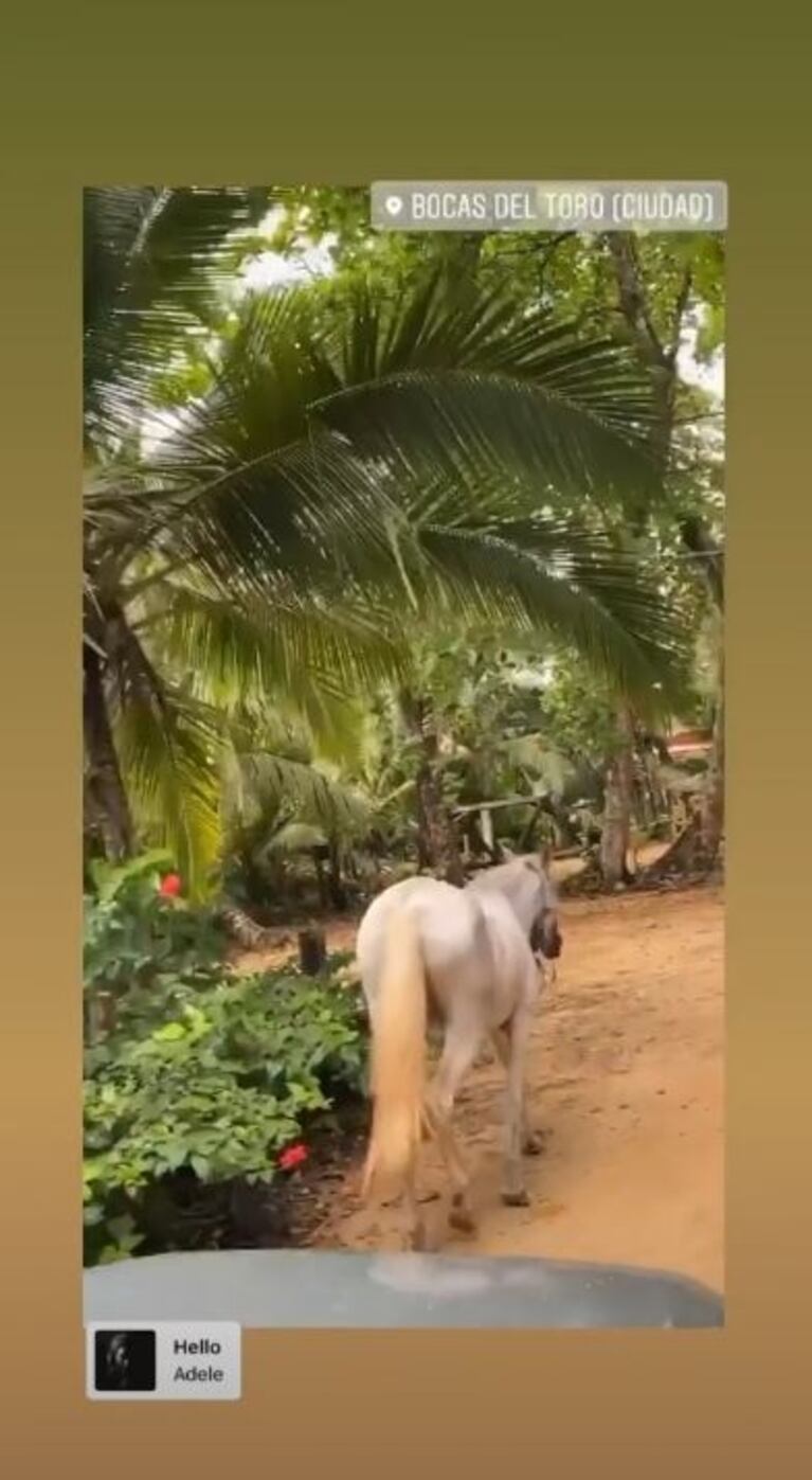 Floppy Tesouro y sus vacaciones en familia en Bocas del Toro, Panamá: "Reencuentro con mis amores"