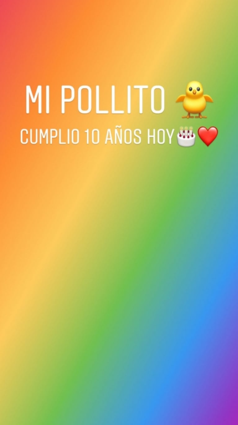 Florencia Bertotti y las fotos de la fiesta de cumpleaños de Romeo, su hijo: “Mi pollito cumplió 10 años”