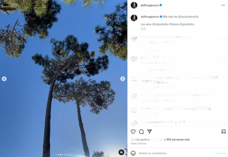 Foto: Captura de Instagram (@delfinagbosco)