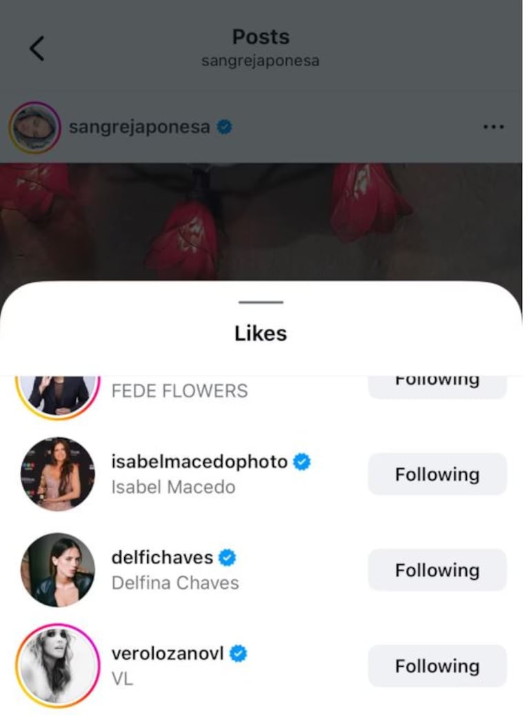 Foto: Captura de Instagram (@sangrejaponesa)