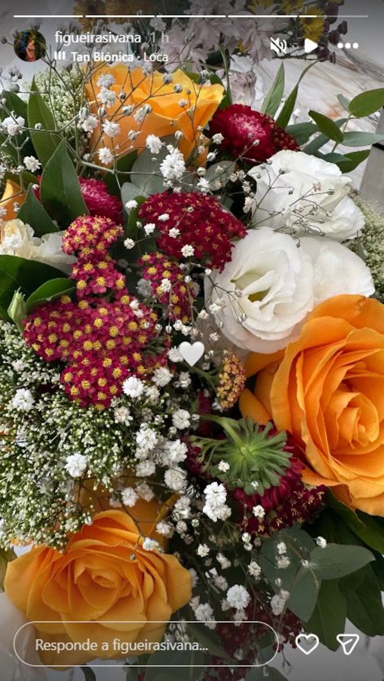 Foto: Captura de Instagram Stories (@figueirasivana)