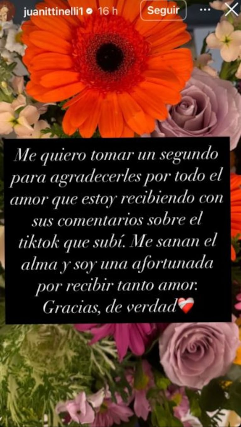 Foto: Captura de Instagram Stories (@juanittinelli1)