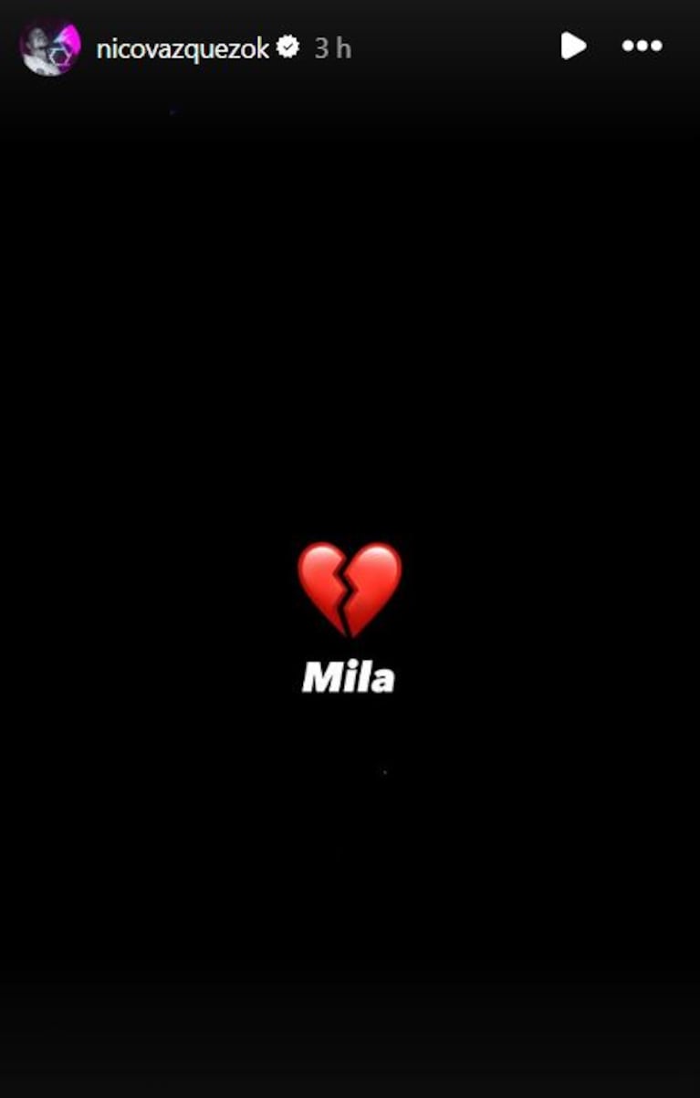 Foto: Captura de Instagram Stories (@nicovazquezok)