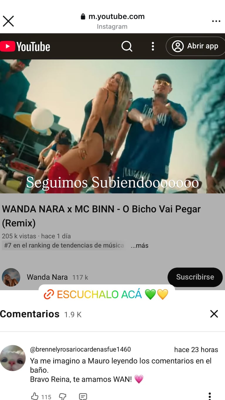 Foto: Captura de Instagram Stories  (@wanda_nara)