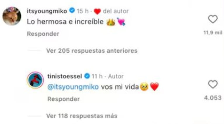 Foto: Captura de Instagram (@tinistoessel)