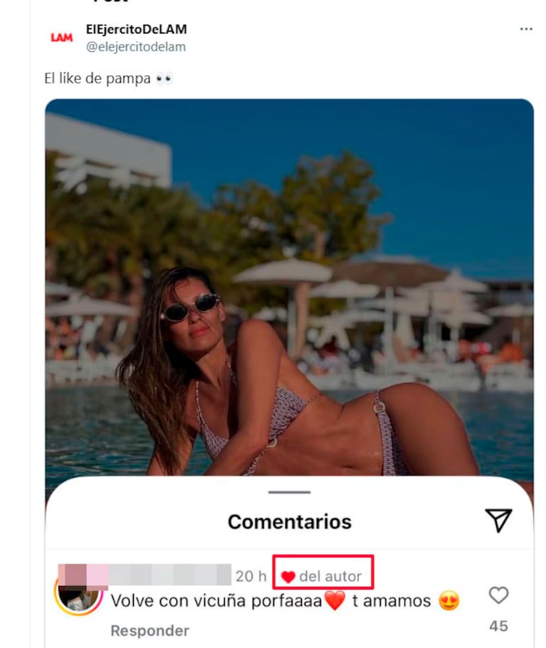 Foto: captura de pantalla de LAM, X.