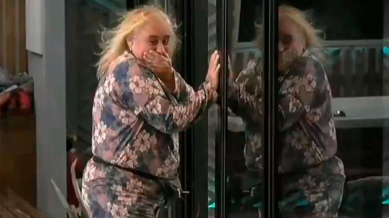 Foto: captura de pantalla de Telefe.