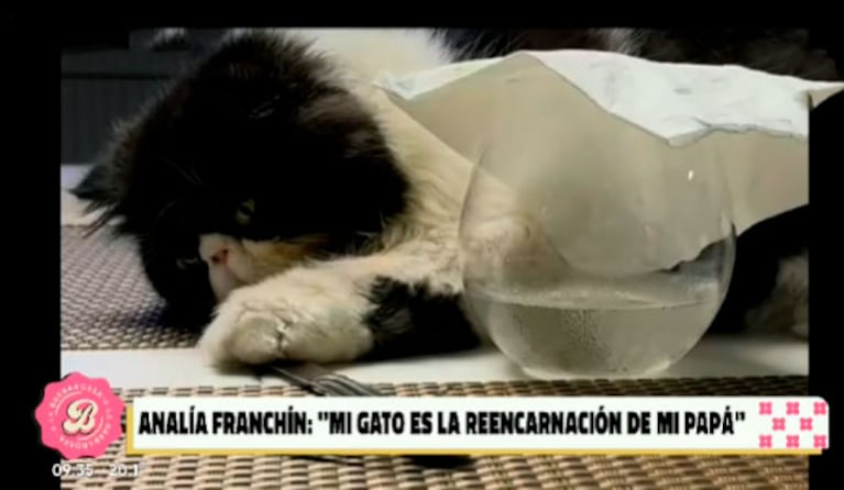 Foto: captura de pantalla de Telefe, A la Barbarossa.