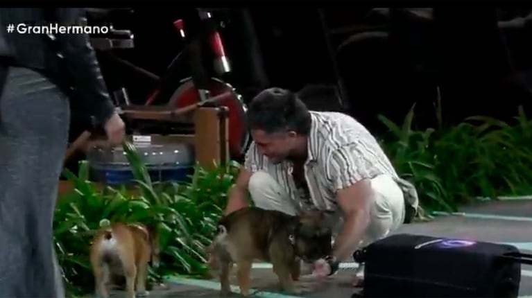 Foto: captura de pantalla de Telefe, Gran Hermano.