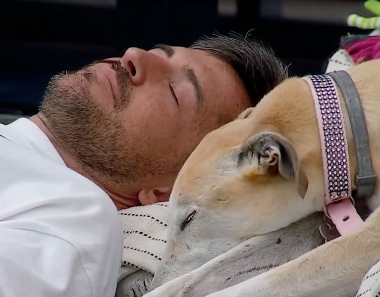 Foto: captura de pantalla de Telefe, Gran Hermano.