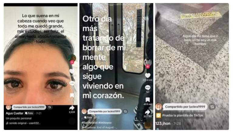 Foto: captura de pantalla de Tik Tok