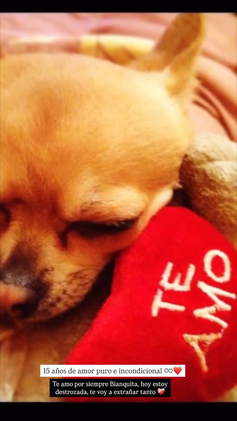 Foto: captura de video de Instagram.