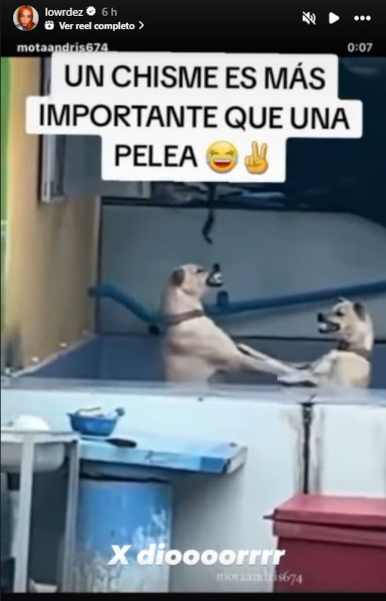 Foto: Captura de video de Instagram Stories (@lowrdez)