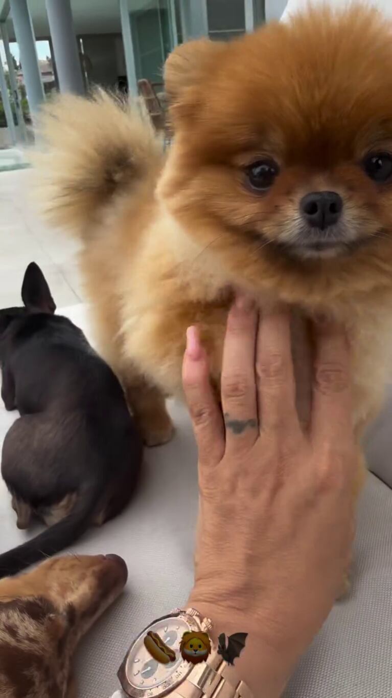 Foto: Captura de video de Instagram Stories (@wanda_nara)