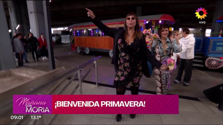 Foto: Captura (eltrece)