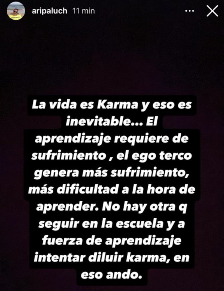 Foto: Captura Instagram Stories (@aripaluch)