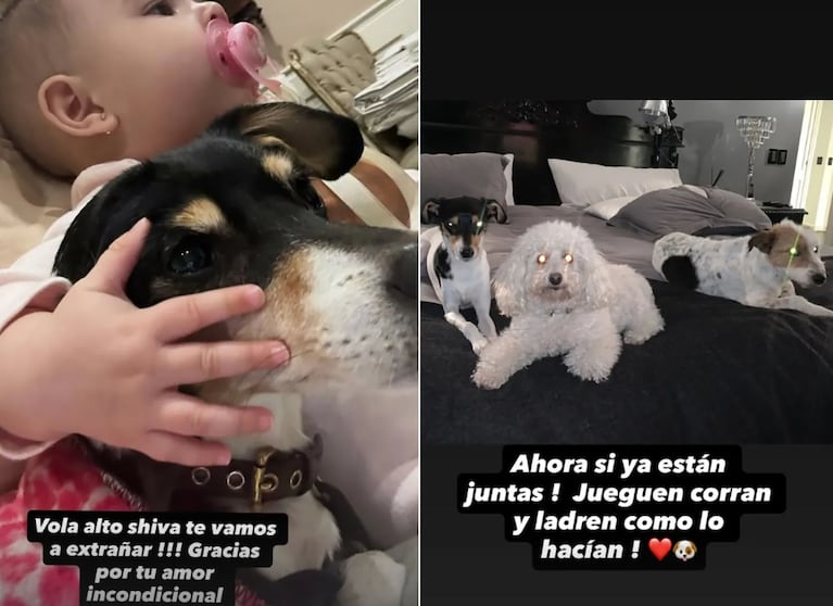 (Foto: Instagram @barbaritafranco21)