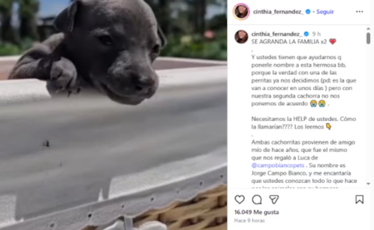 Foto: Instagram Cinthia Fernández