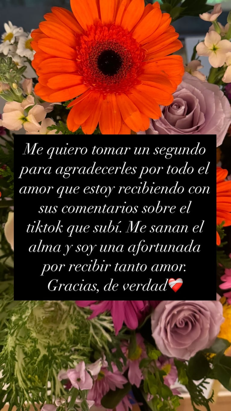 Foto: Instagram de Juanita Tinelli.