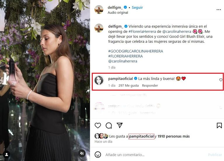 Foto: Instagram (@delfigm_)