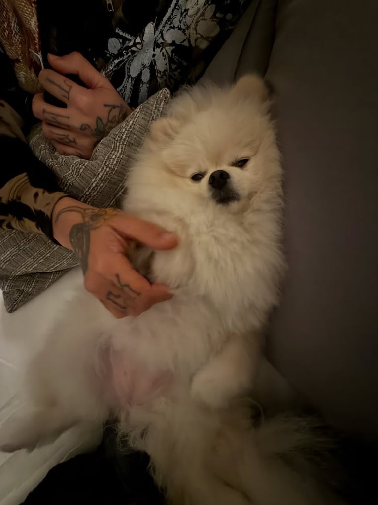 Foto: Instagram (@emiliamernes)