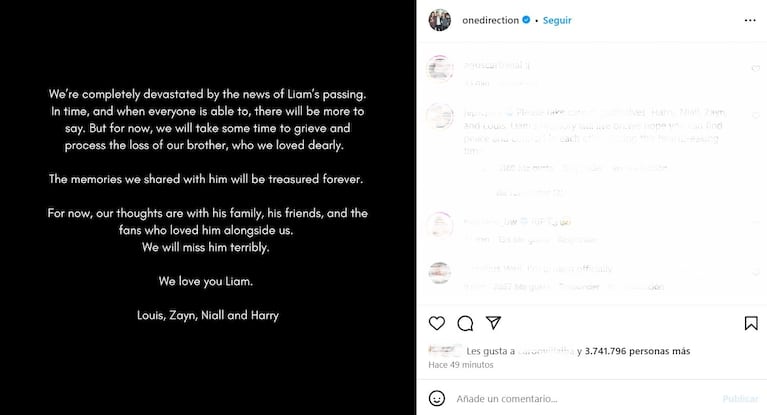Foto: Instagram (@onedirection)