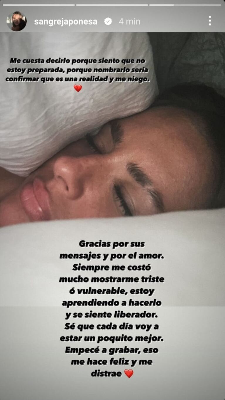 Foto: Instagram Stories (@sangrejaponesa)
