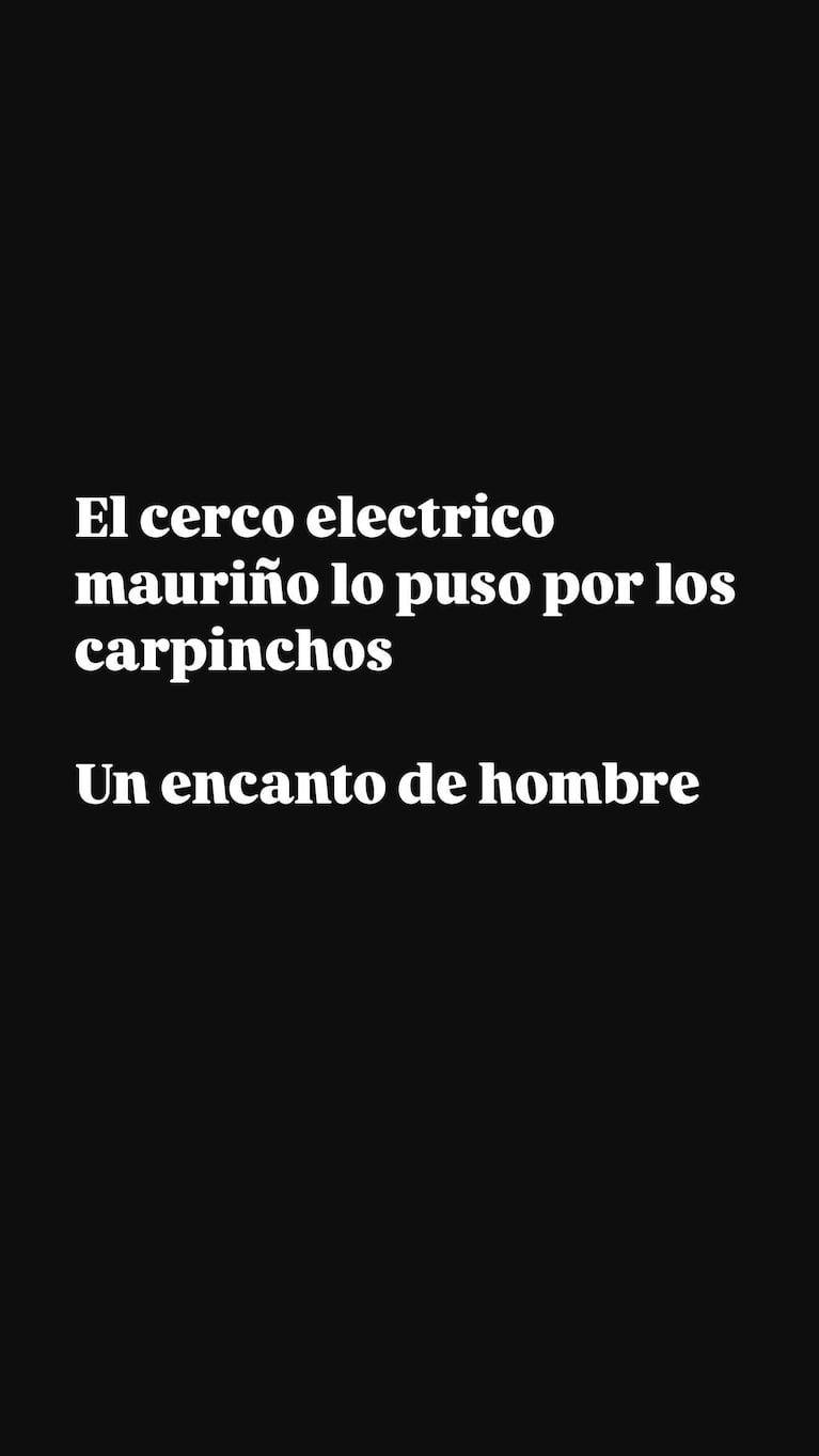 Foto: Instagram @yanilatorre