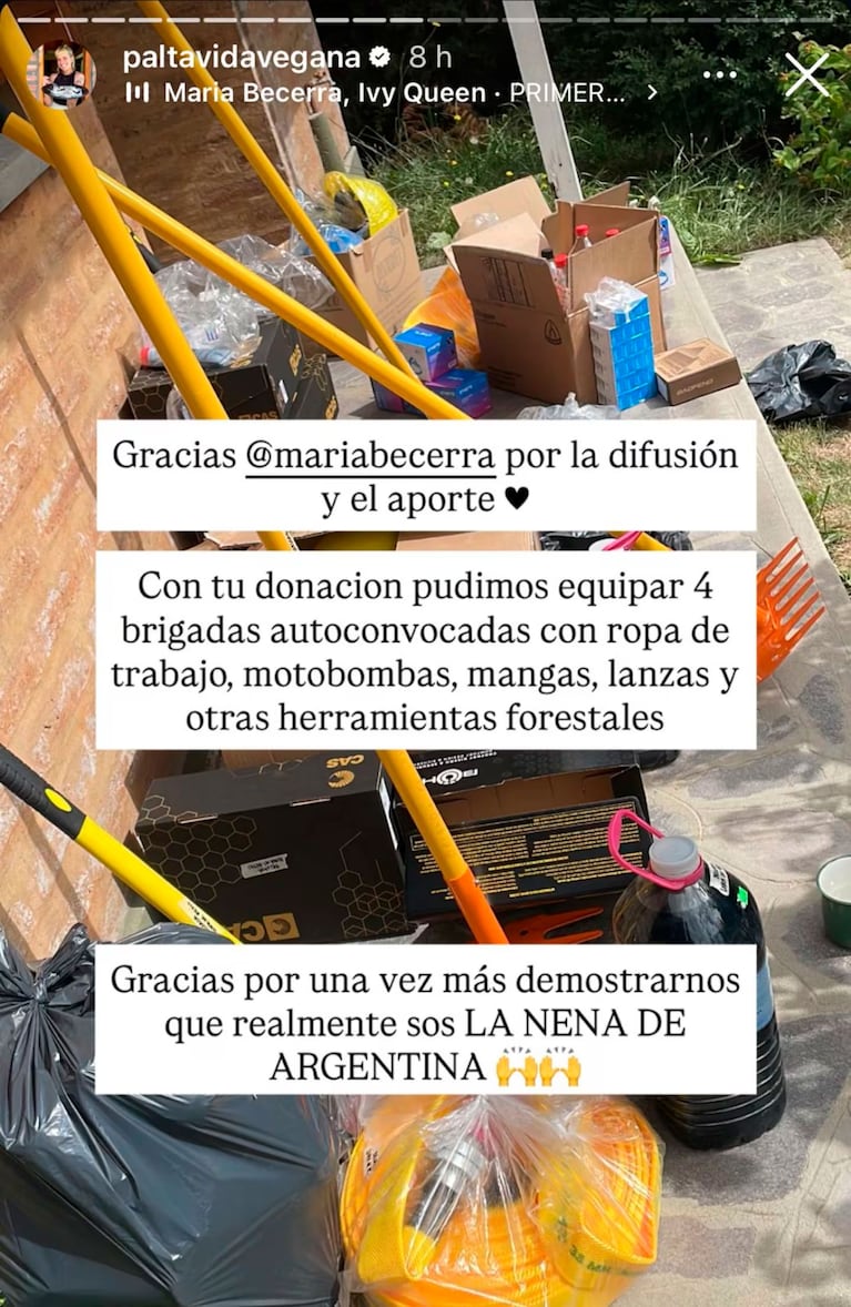 (Foto: Instagram/paltavidavegana)