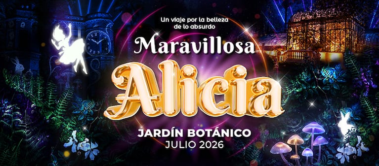 Foto: prensa Maravillosa Alicia