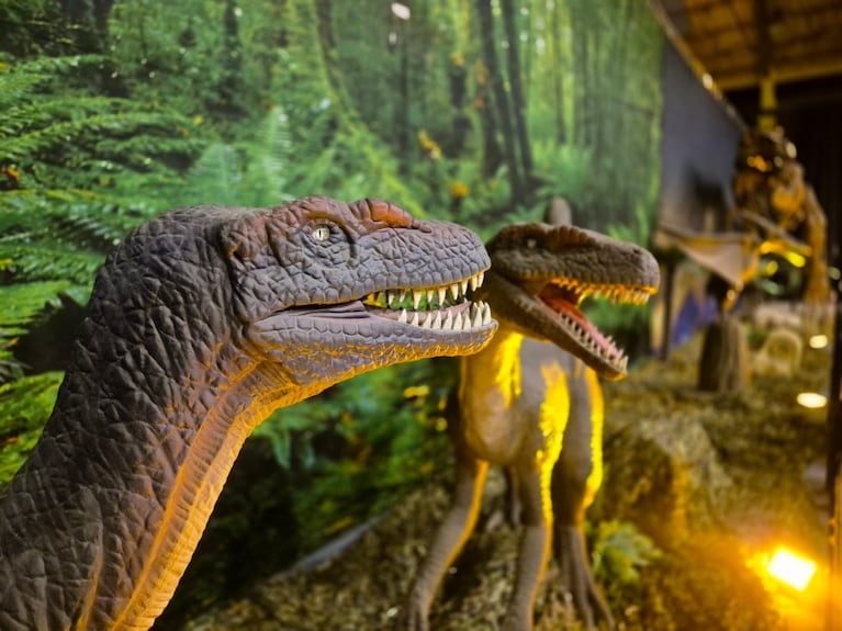 Foto: prensa Viven Dinosaurios