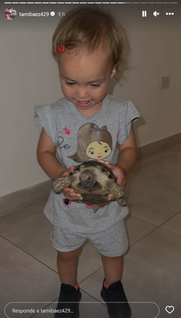 Fuerte cruce de Tamara Báez con una seguidora que la criticó porque su hija juega con una tortuga