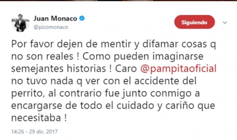 Fuerte descargo de Pico Mónaco tras la polémica versión sobre la crisis con Pampita por su mascota: "¡Caro no tuvo nada que ver con el accidente del perrito!"
