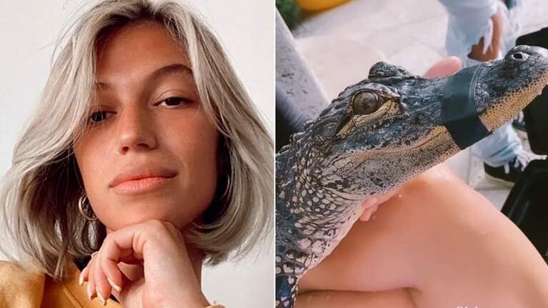 Fuerte descargo de Stefi Roitman tras ser acusada de maltratar a un cocodrilo: “es preciso contar con toda la información”