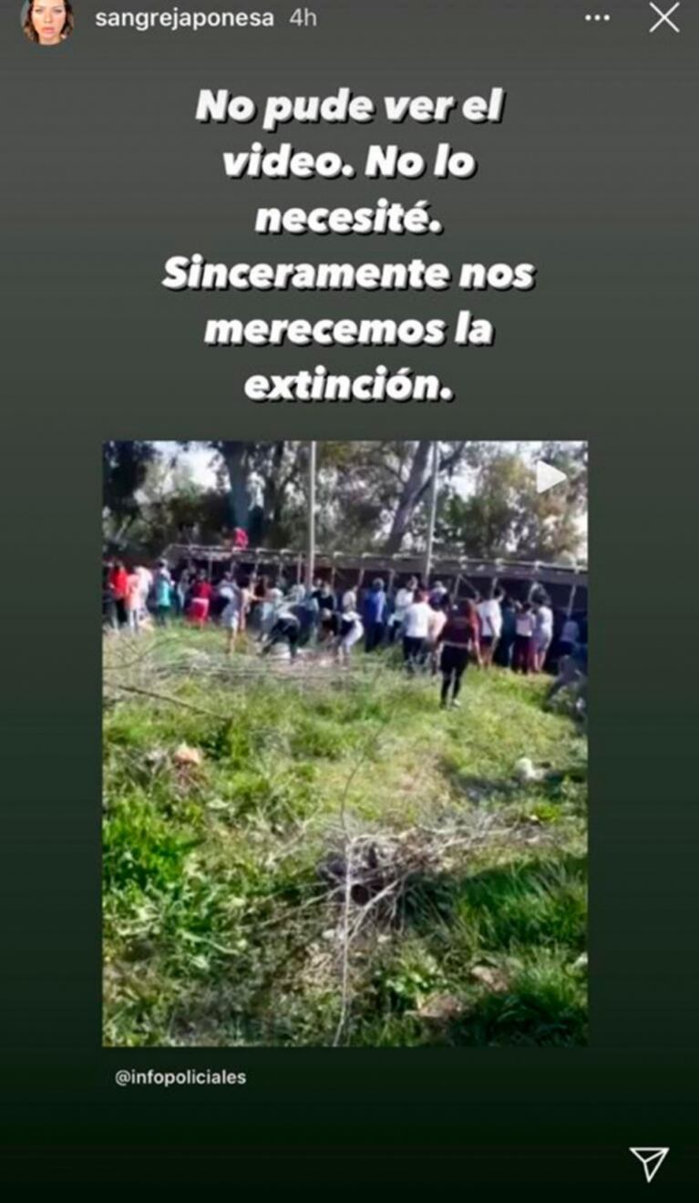 Fuerte frase de China Suárez tras ver cómo vecinos faenaban los chanchos que cayeron de un camión: "Nos merecemos la extinción"