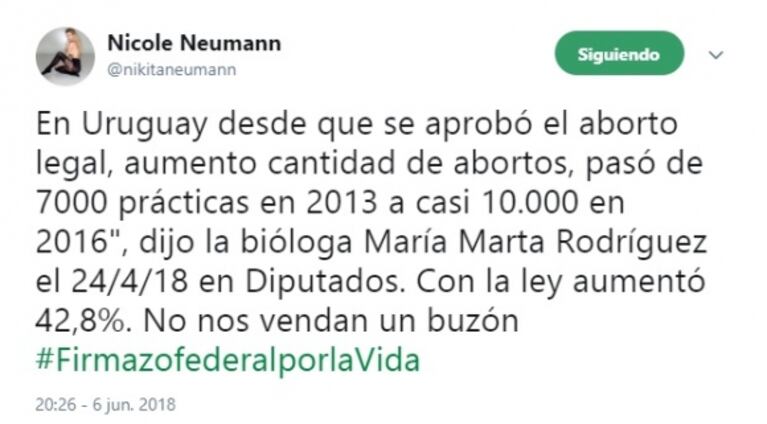 Fuerte tweet de Nicole Neumann con su postura en contra de la legalización del aborto