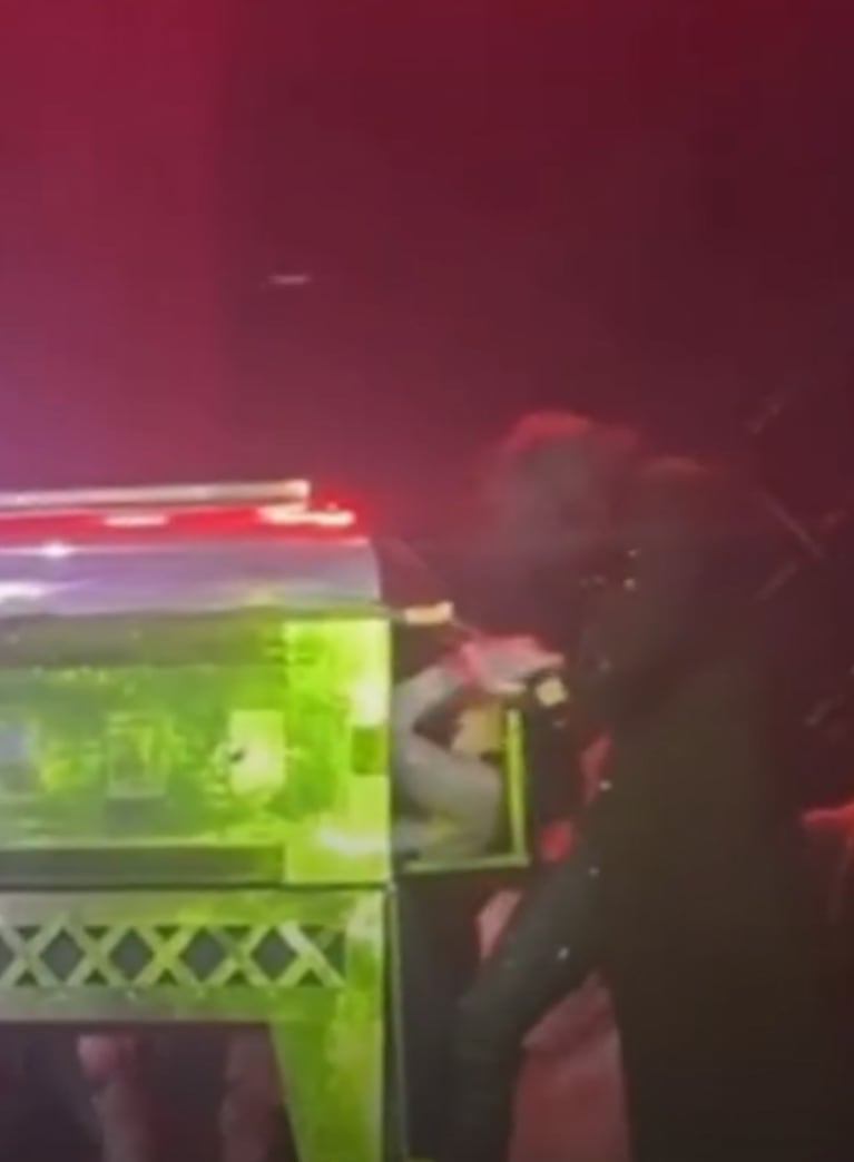 Furia se golpeó la cabeza en el circo.