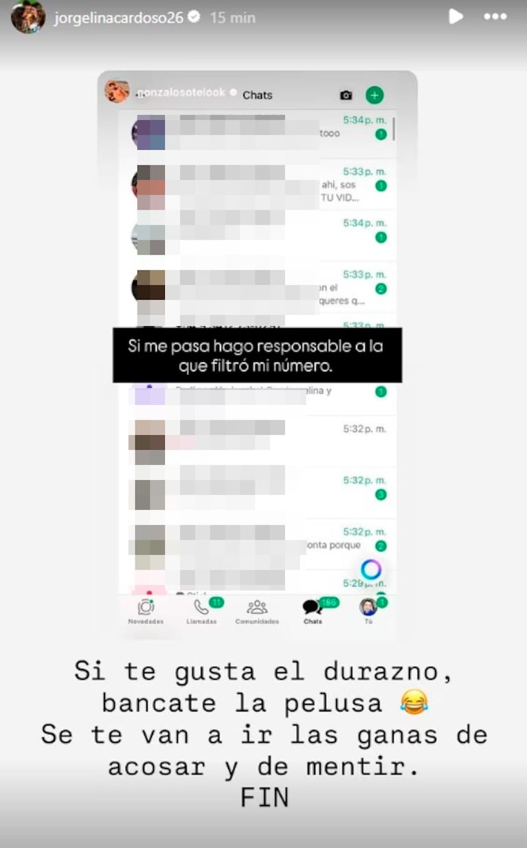 Furia total de Ángel Di María y Jorgelina Cardoso contra un periodista (captura de Instagram)